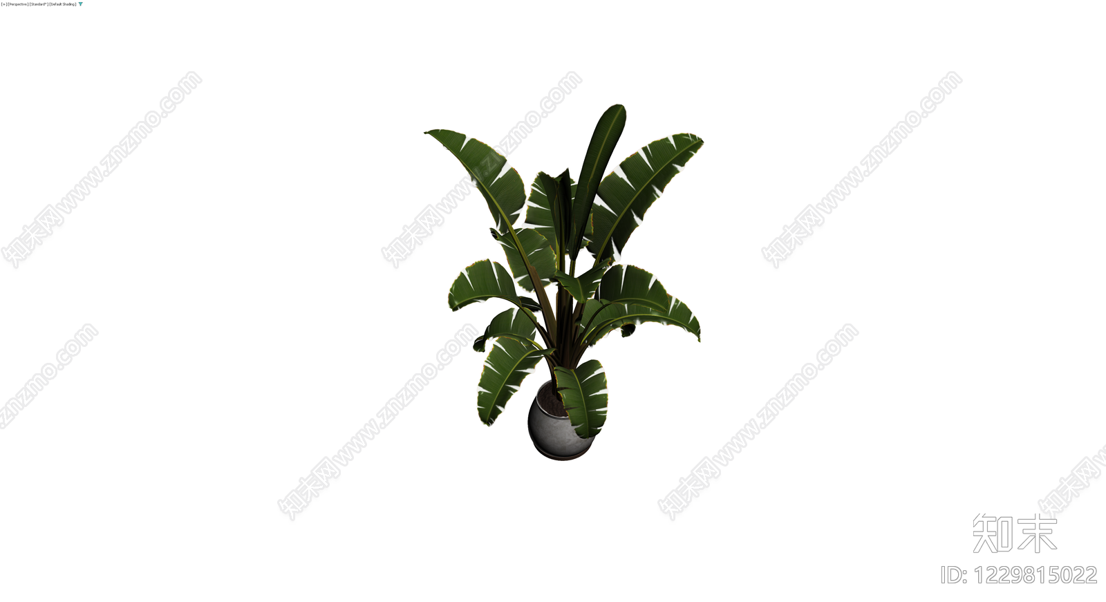 盆栽仿真植物模型3D模型下载【ID:1229815022】