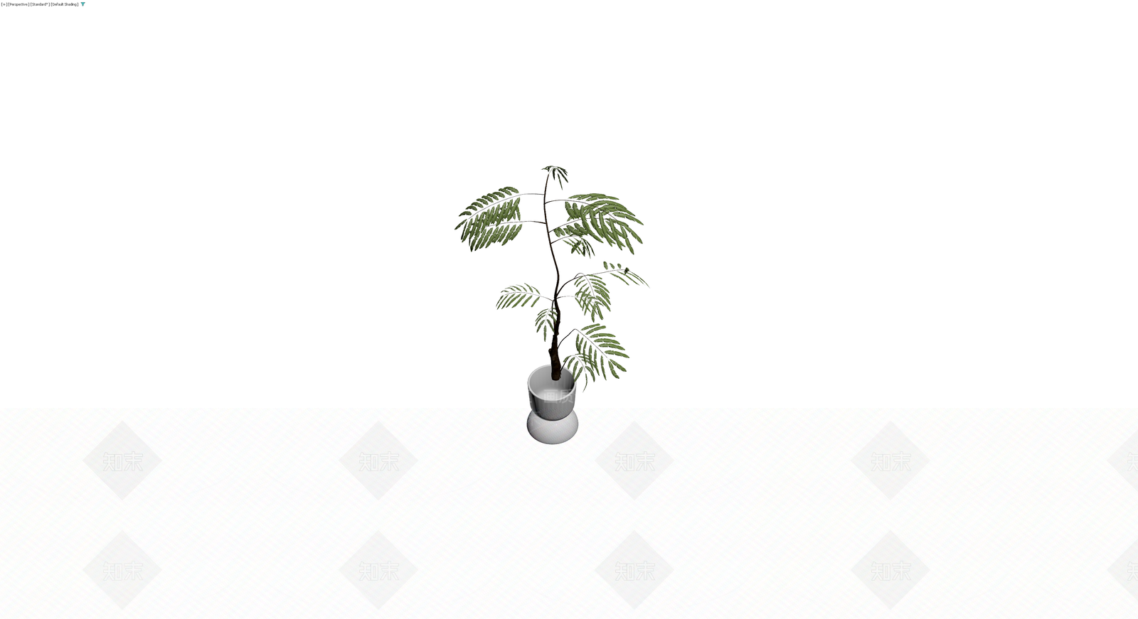 白盆羽叶植物盆栽3D模型下载【ID:1230175585】