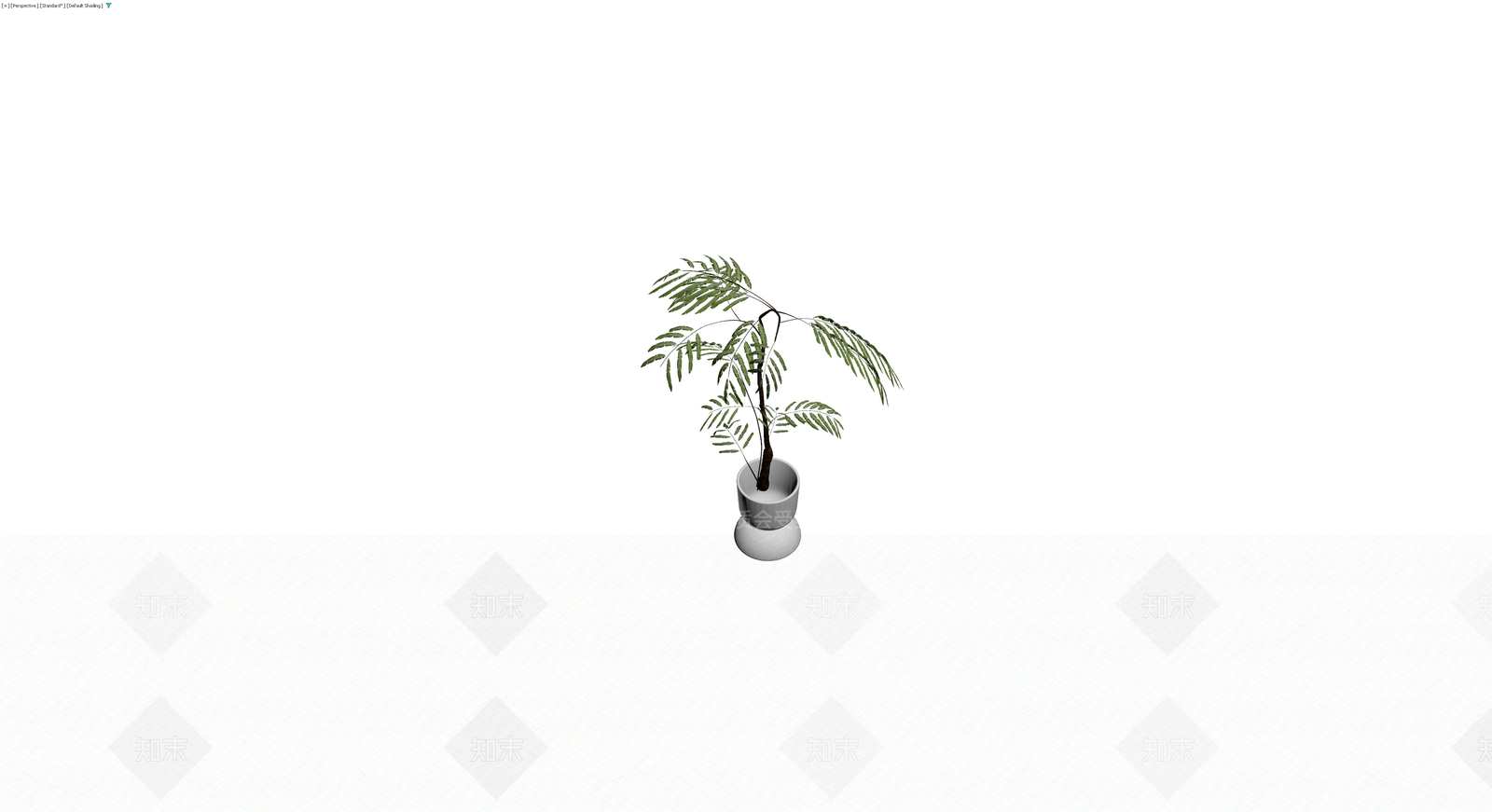白盆羽叶植物盆栽3D模型下载【ID:1230175585】