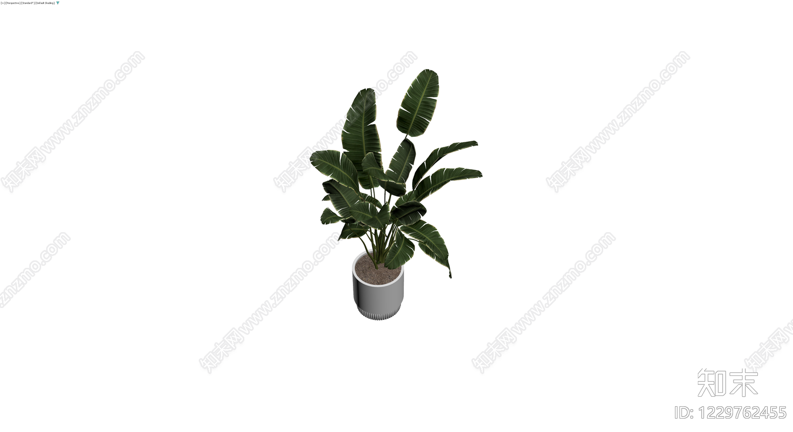 盆栽植物带盆3D模型下载【ID:1229762455】