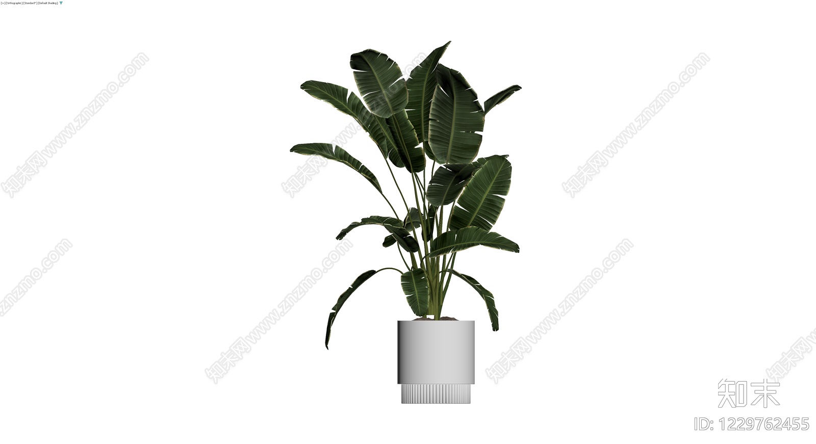 盆栽植物带盆3D模型下载【ID:1229762455】