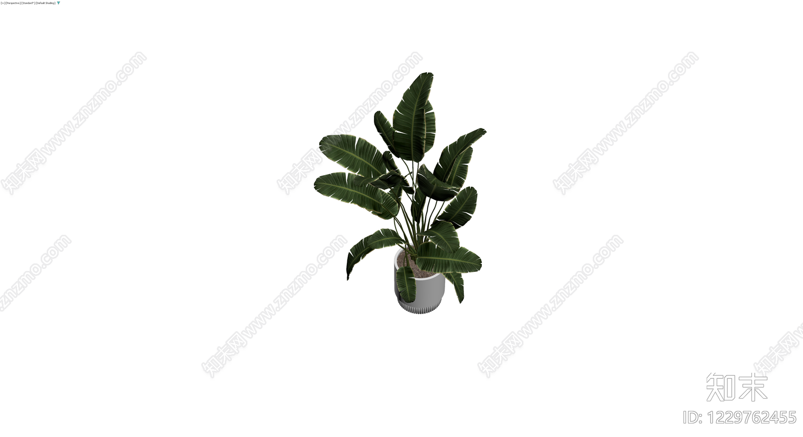 盆栽植物带盆3D模型下载【ID:1229762455】