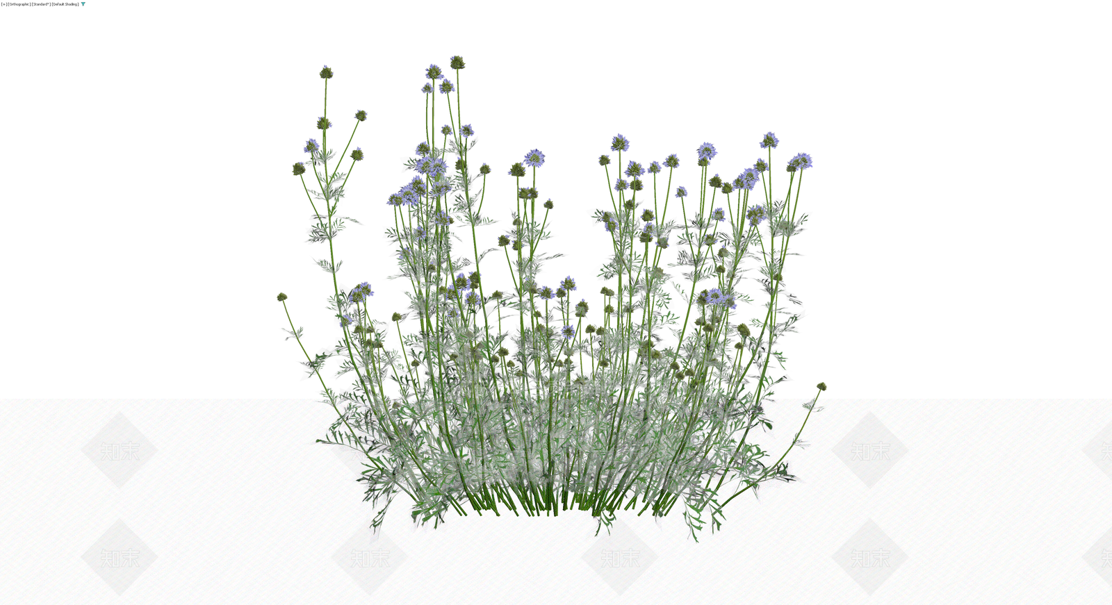 蓝紫色花卉灌木丛3D模型下载【ID:1229988415】