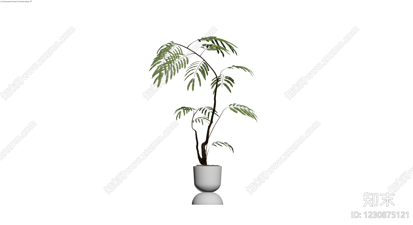 白色花盆仿真绿植盆栽3D模型下载【ID:1230875121】