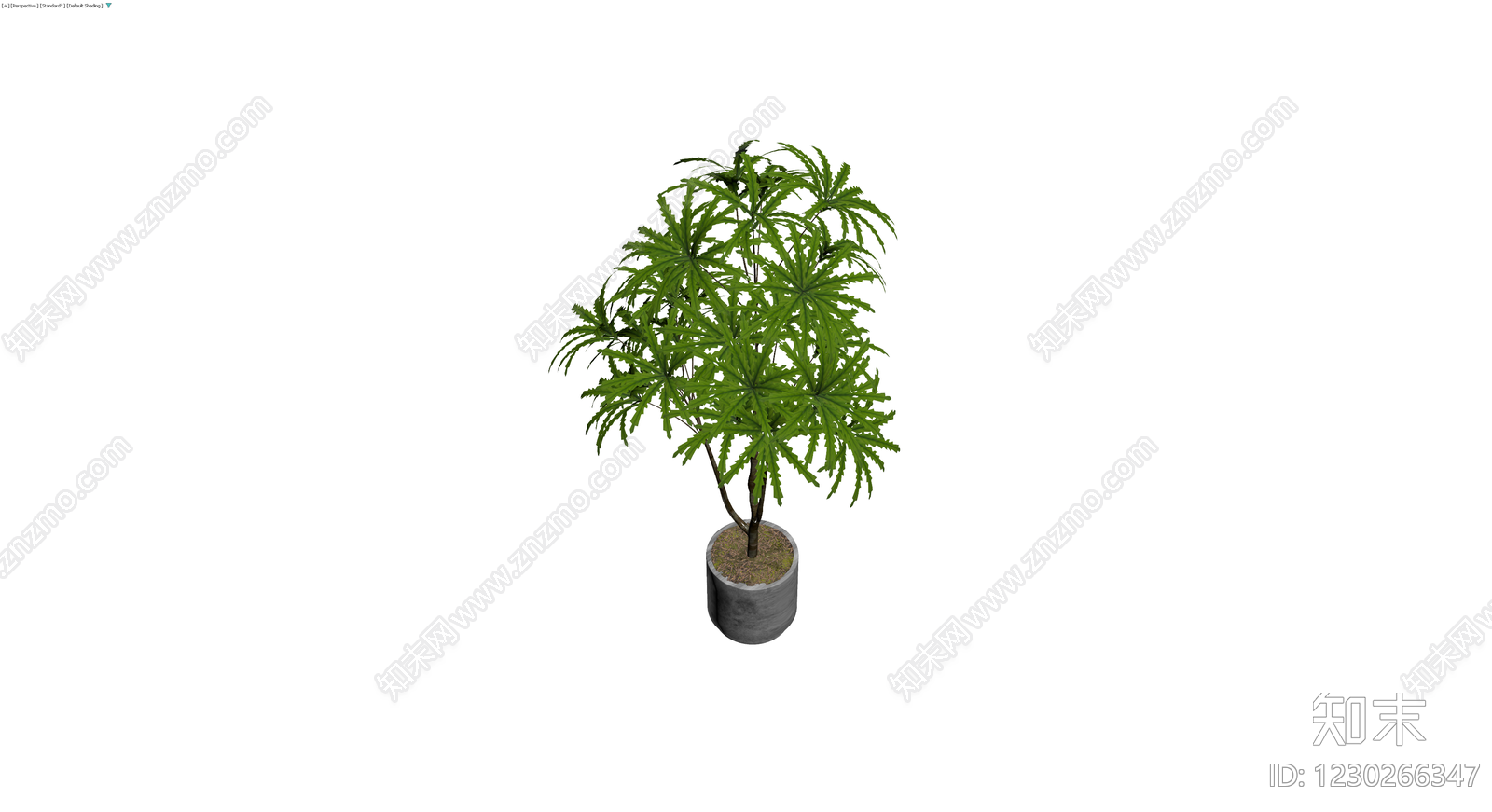盆栽绿植模型3D模型下载【ID:1230266347】