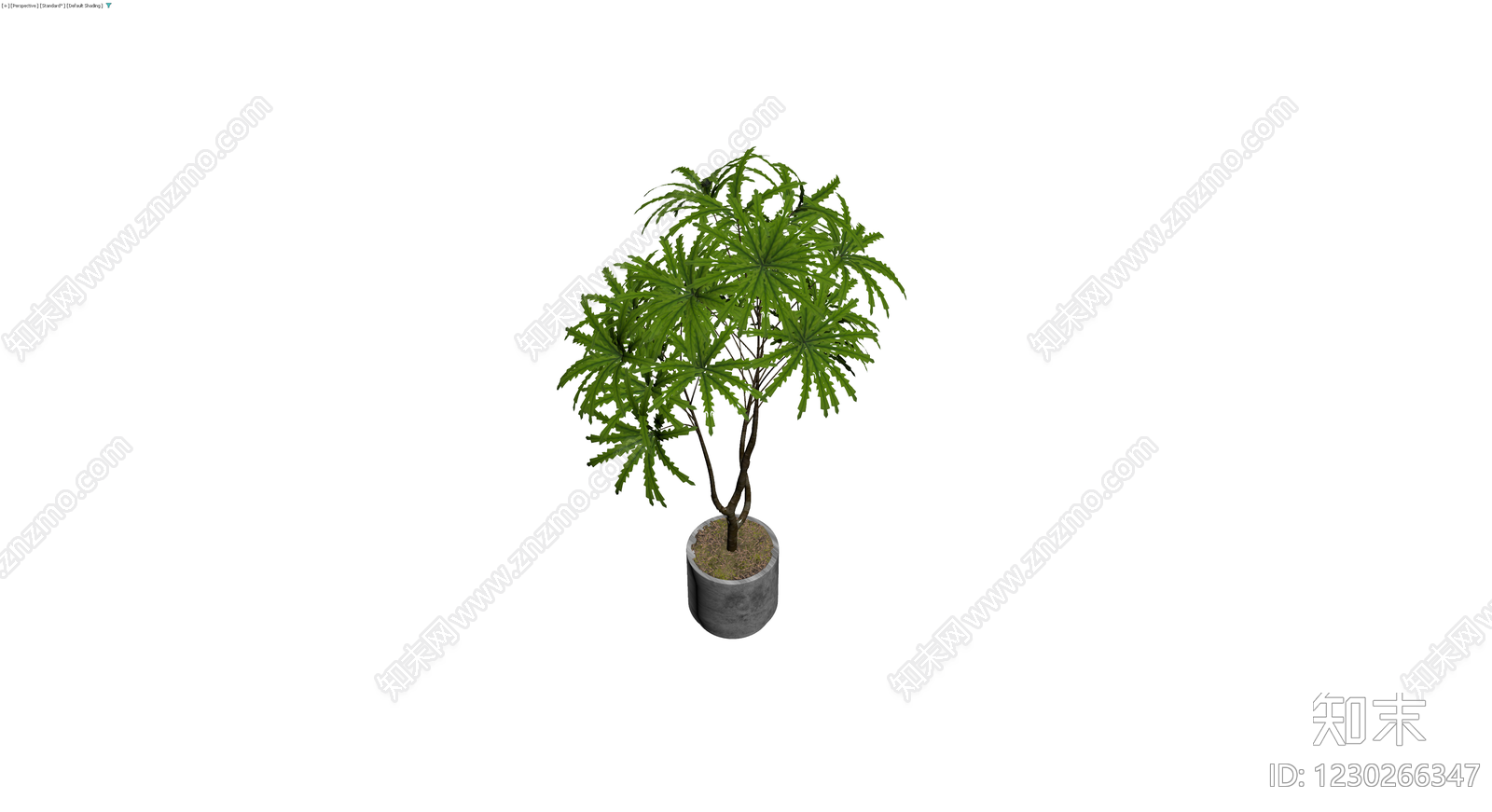 盆栽绿植模型3D模型下载【ID:1230266347】