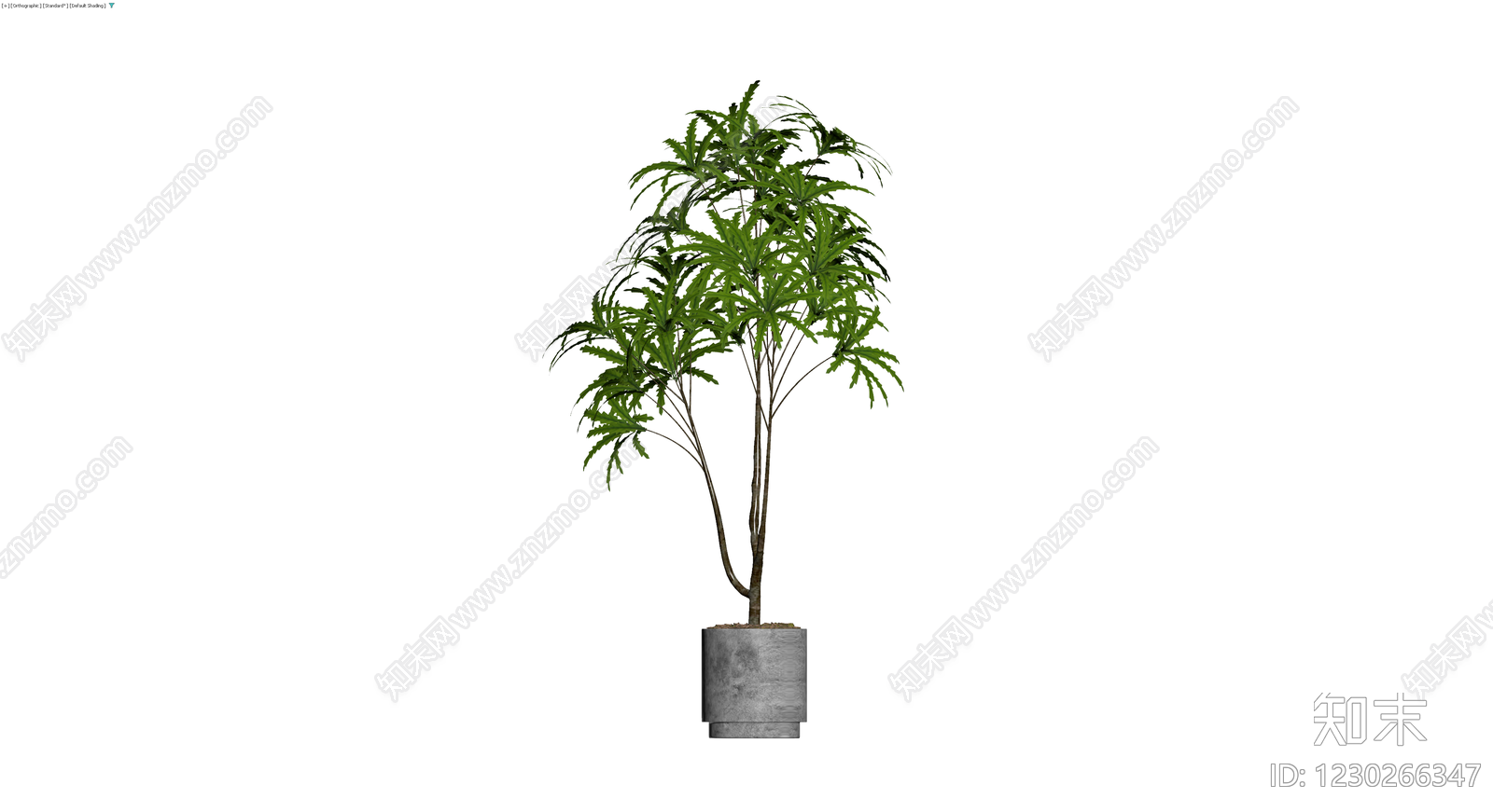 盆栽绿植模型3D模型下载【ID:1230266347】
