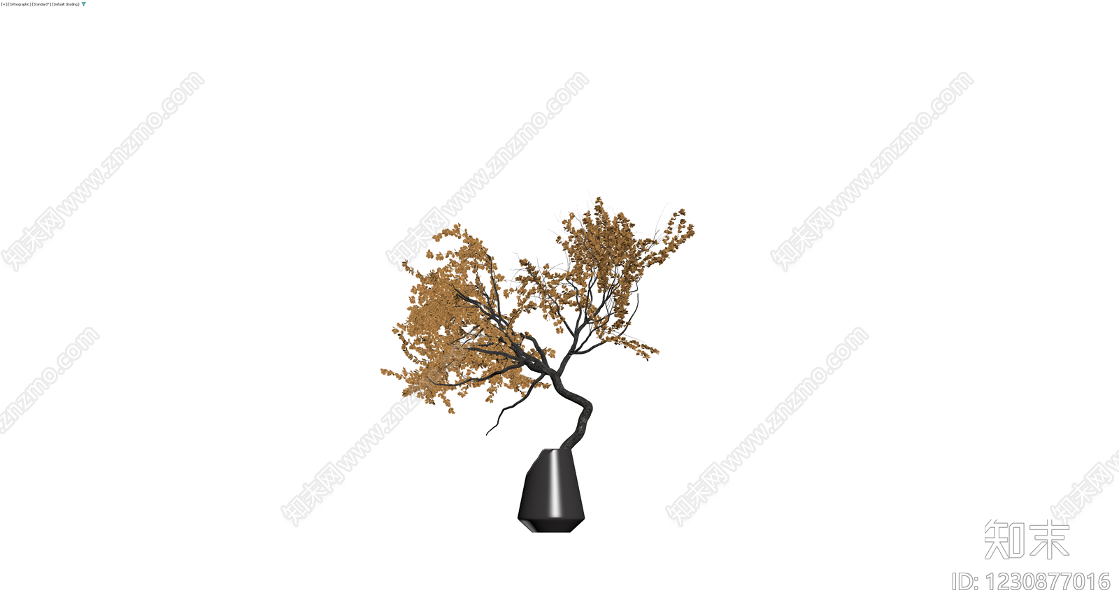 枯叶盆景盆栽3D模型下载【ID:1230877016】