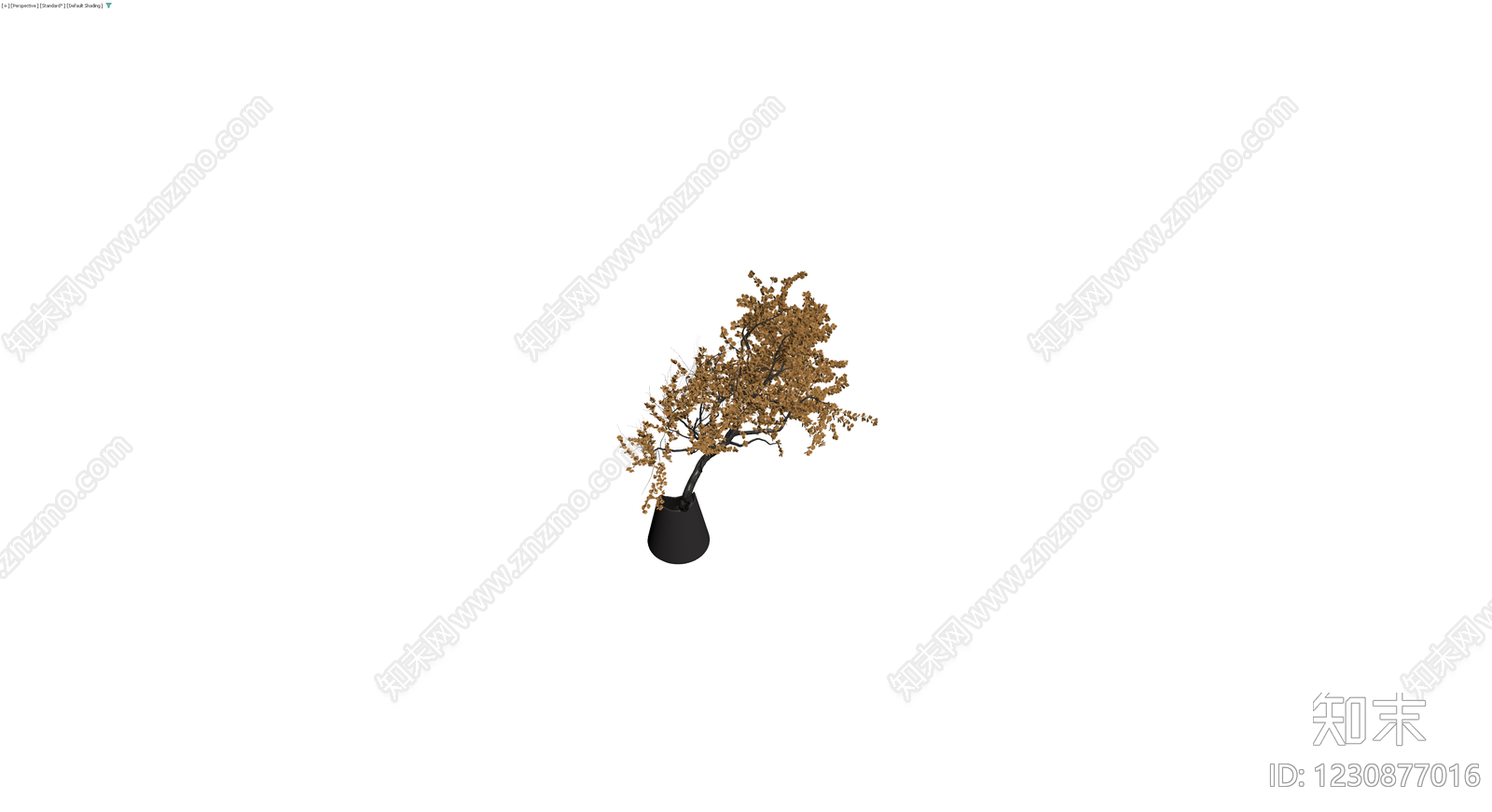 枯叶盆景盆栽3D模型下载【ID:1230877016】