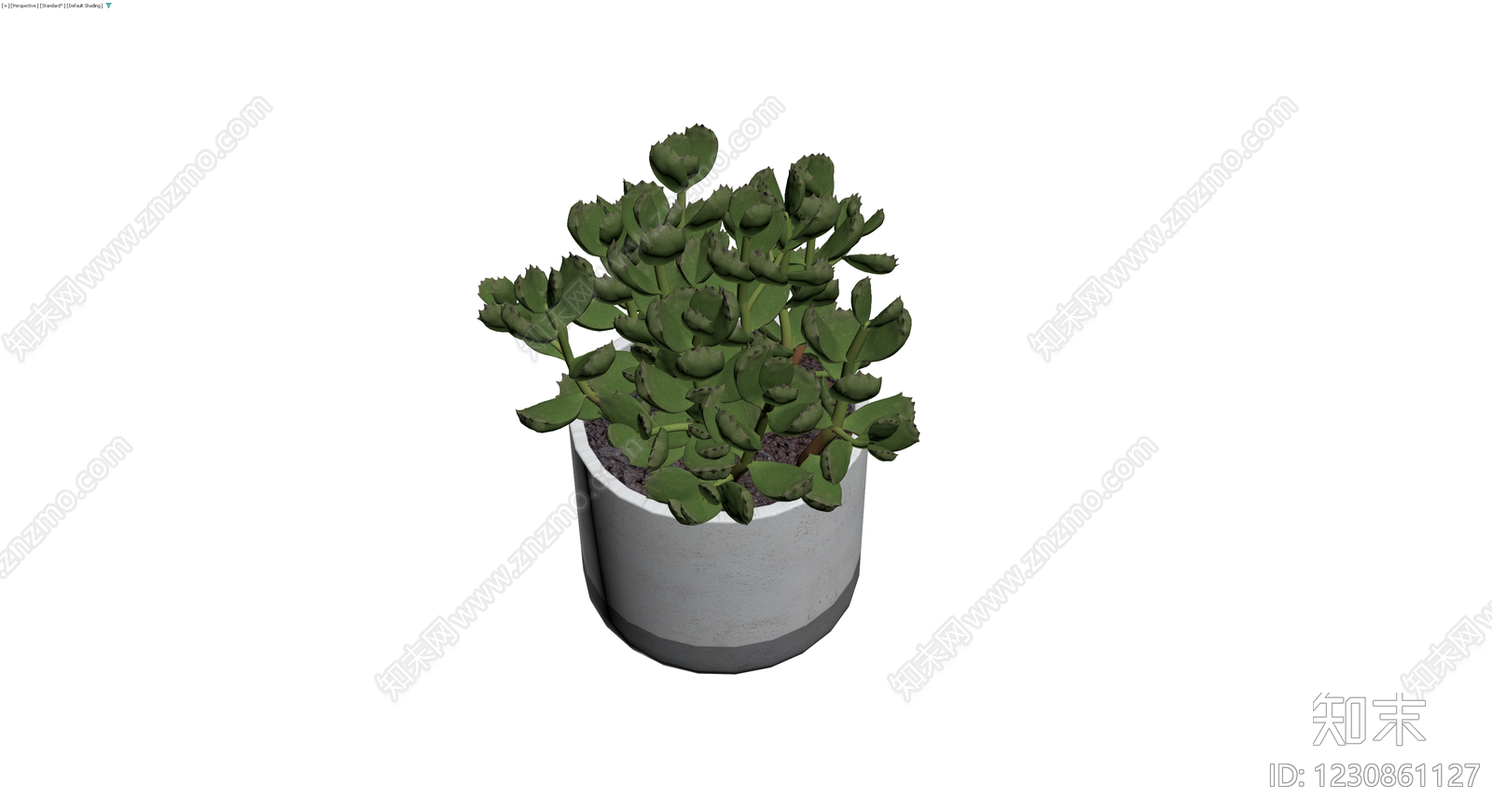 盆栽绿植带盆3D模型下载【ID:1230861127】