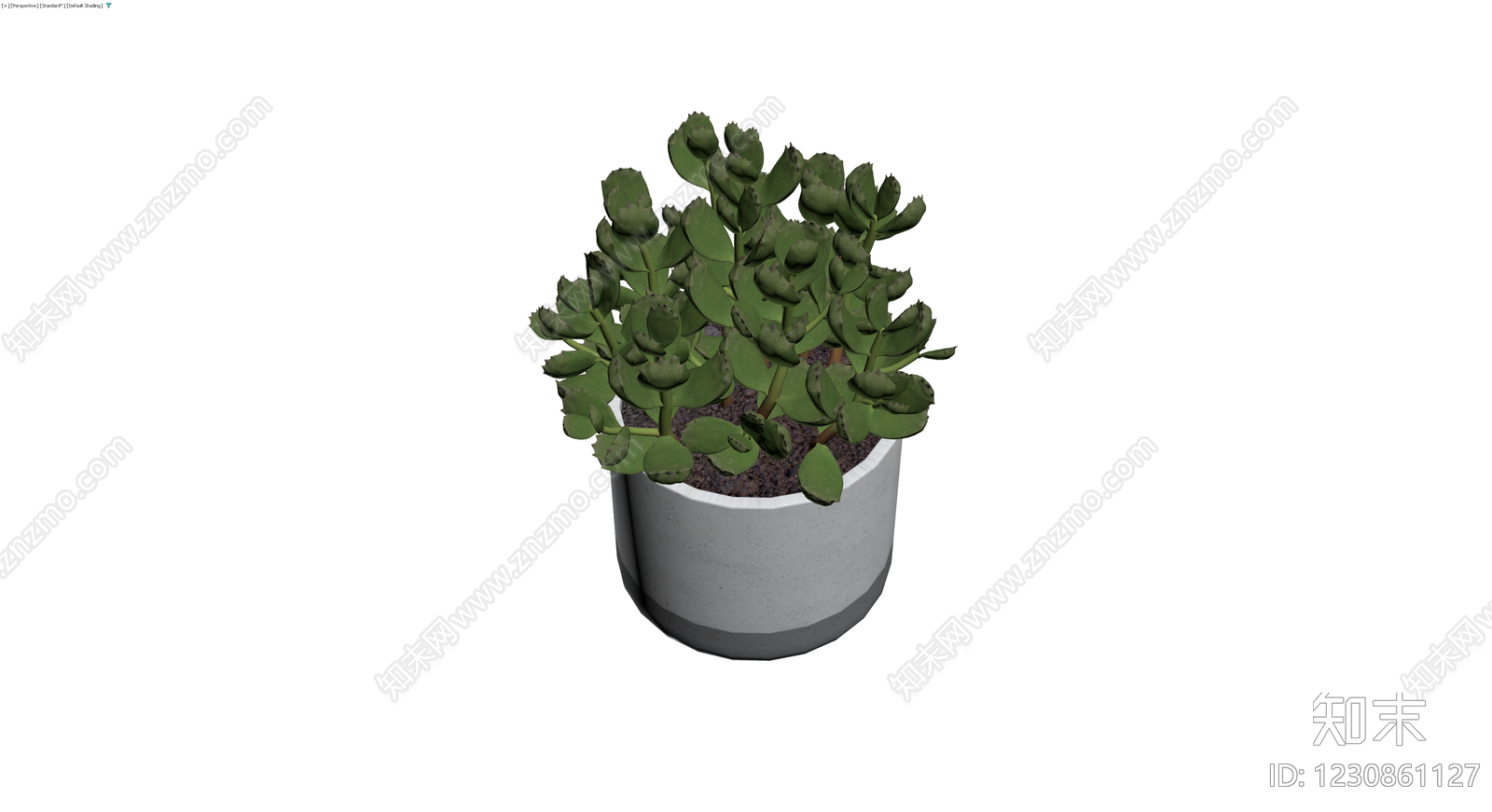 盆栽绿植带盆3D模型下载【ID:1230861127】