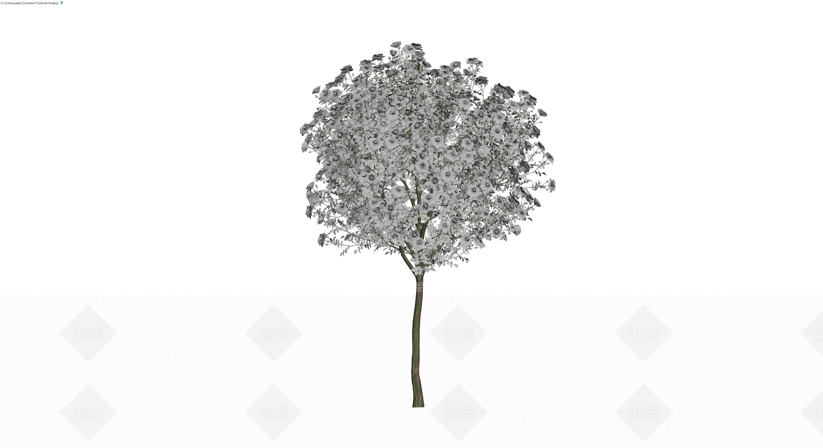 白色花灌木乔木模型3D模型下载【ID:1229852220】
