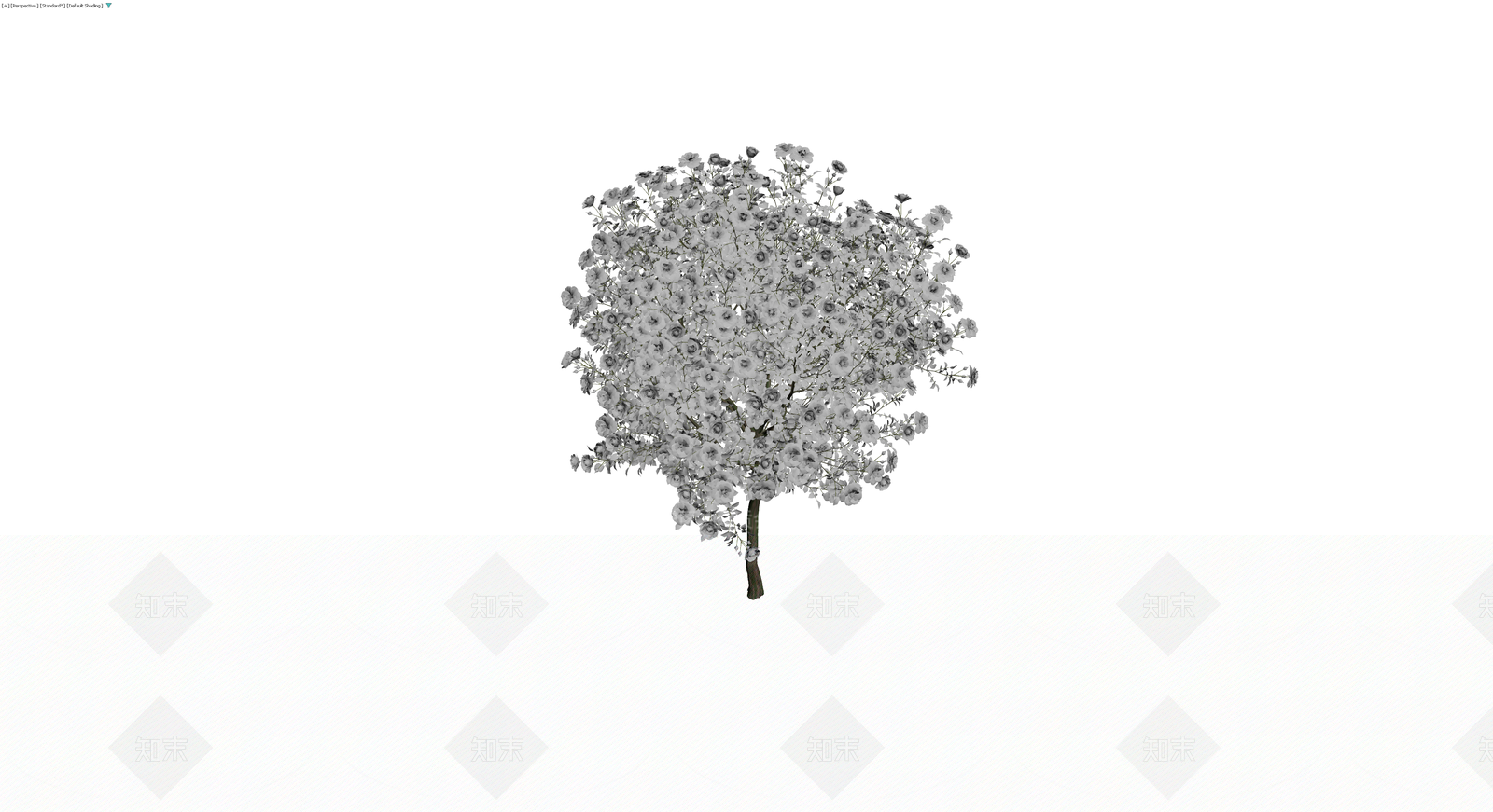 白色花灌木乔木模型3D模型下载【ID:1229852220】