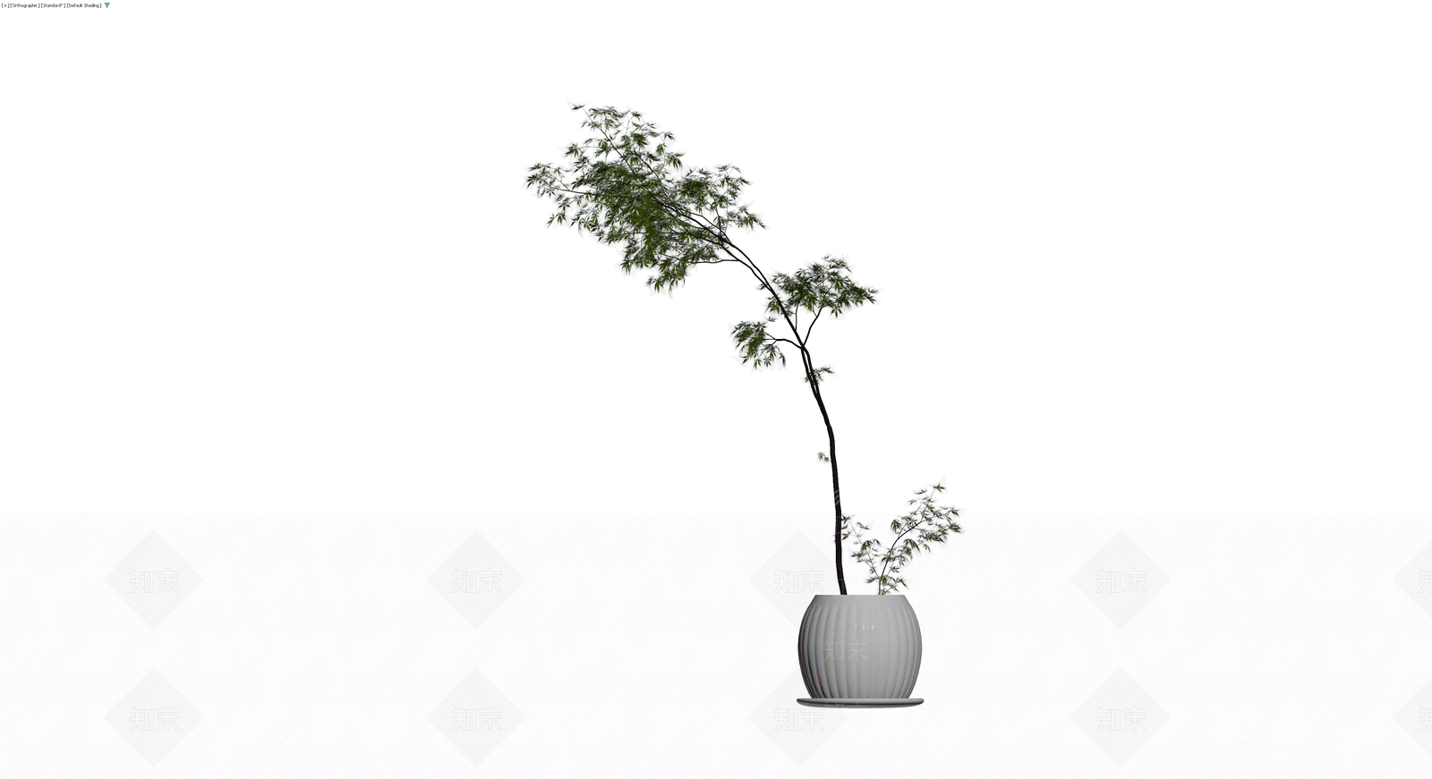 盆栽植物带盆3D模型下载【ID:1230372586】