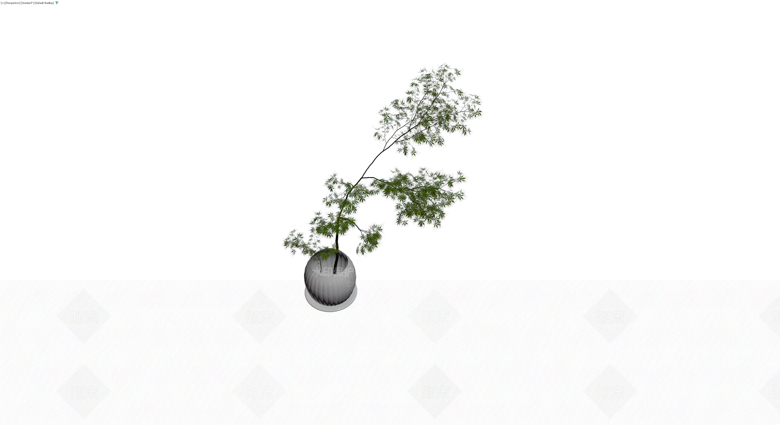 盆栽植物带盆3D模型下载【ID:1230372586】