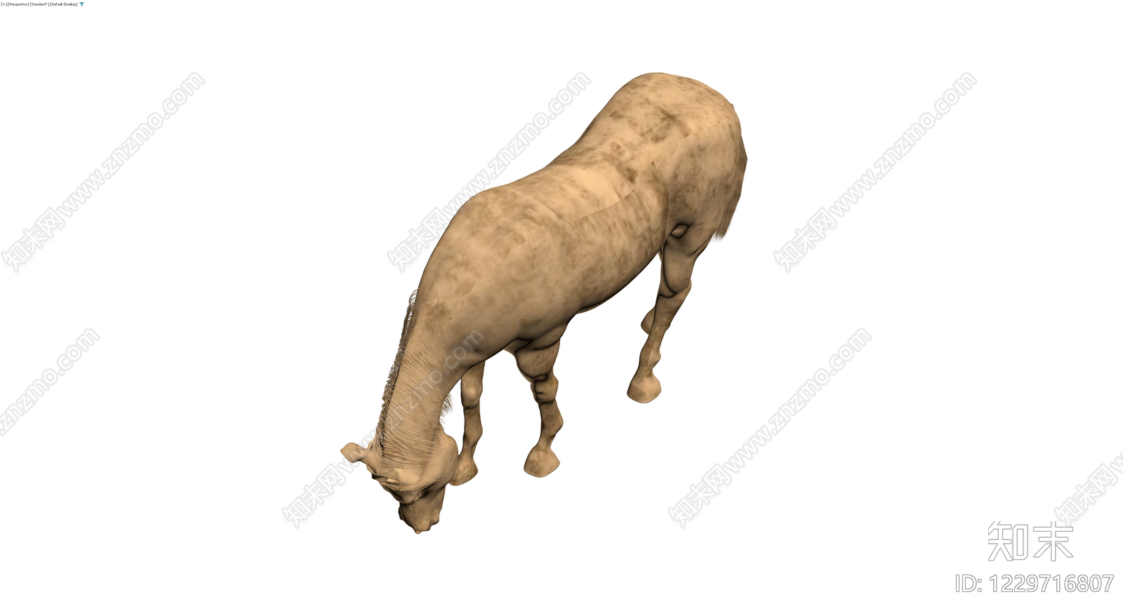 低头姿态马匹3D模型3D模型下载【ID:1229716807】