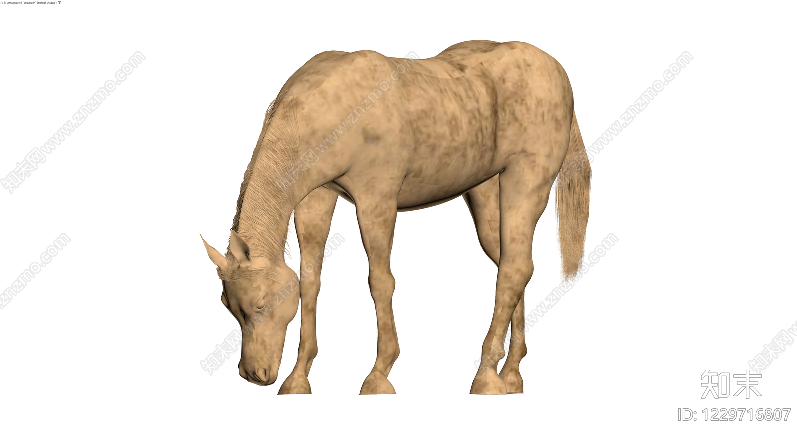 低头姿态马匹3D模型3D模型下载【ID:1229716807】