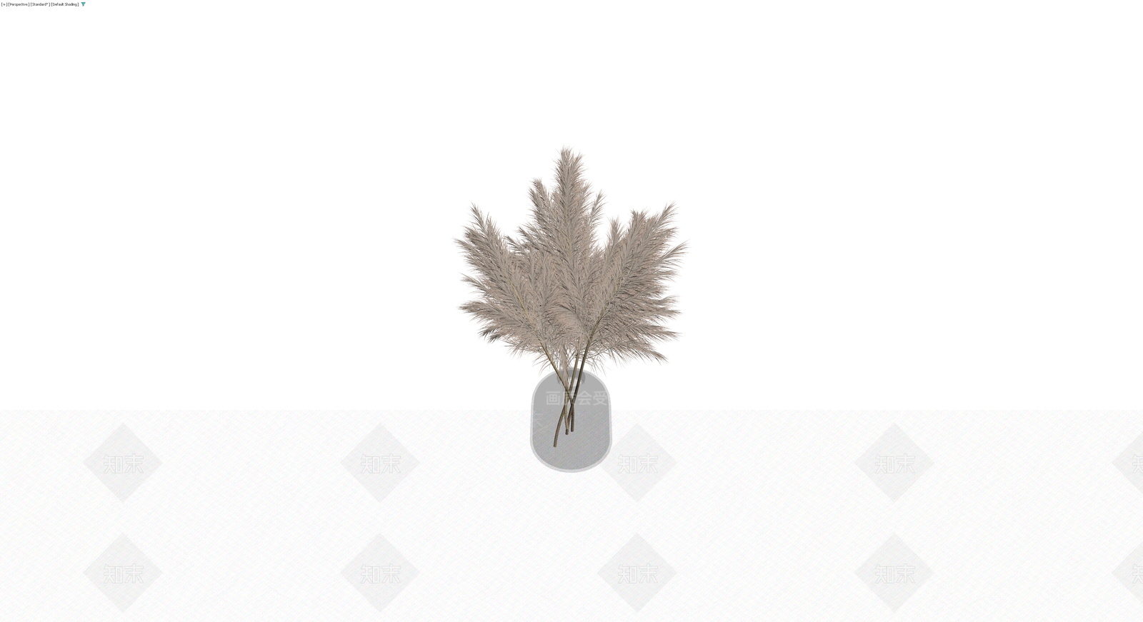 瓶插蒲苇植物盆栽3D模型下载【ID:1230677293】