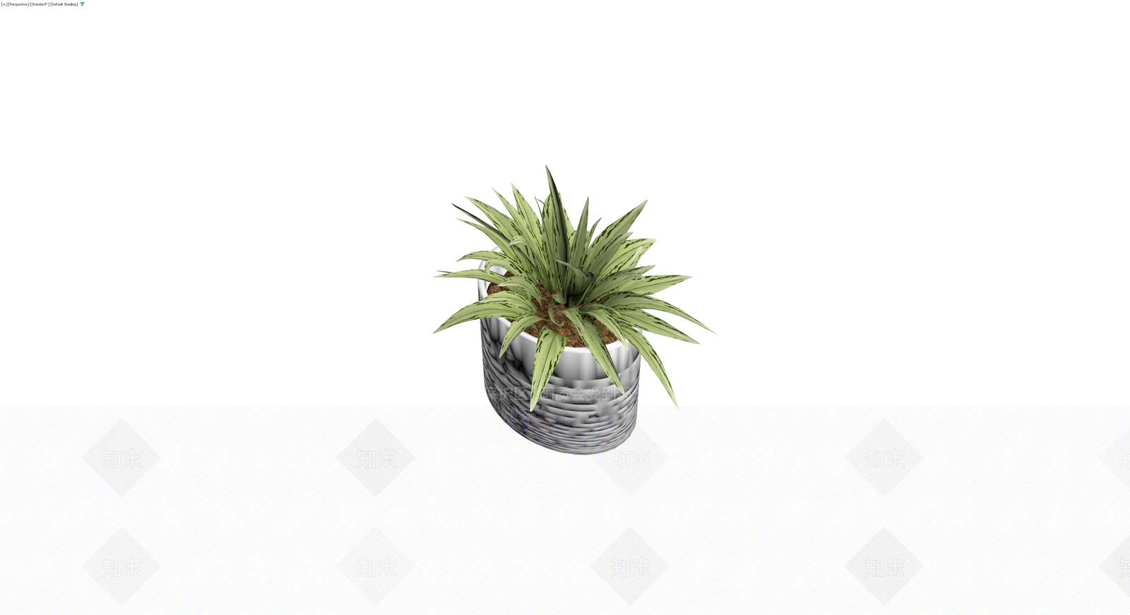 编织纹白色花盆栽植3D模型下载【ID:1230393358】
