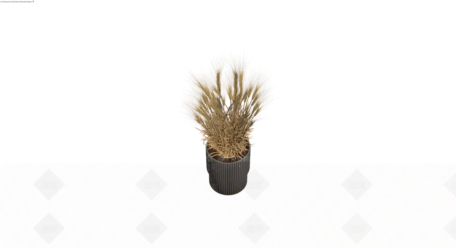 带盆麦穗盆栽3D模型下载【ID:1229870965】