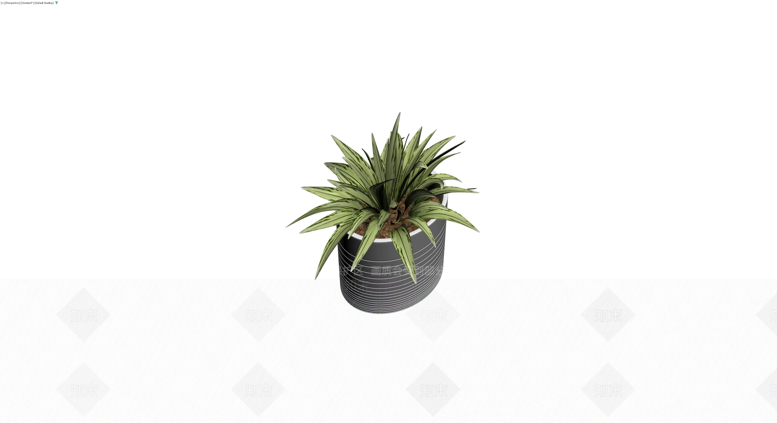 条纹花盆盆栽植物3D模型下载【ID:1230376547】