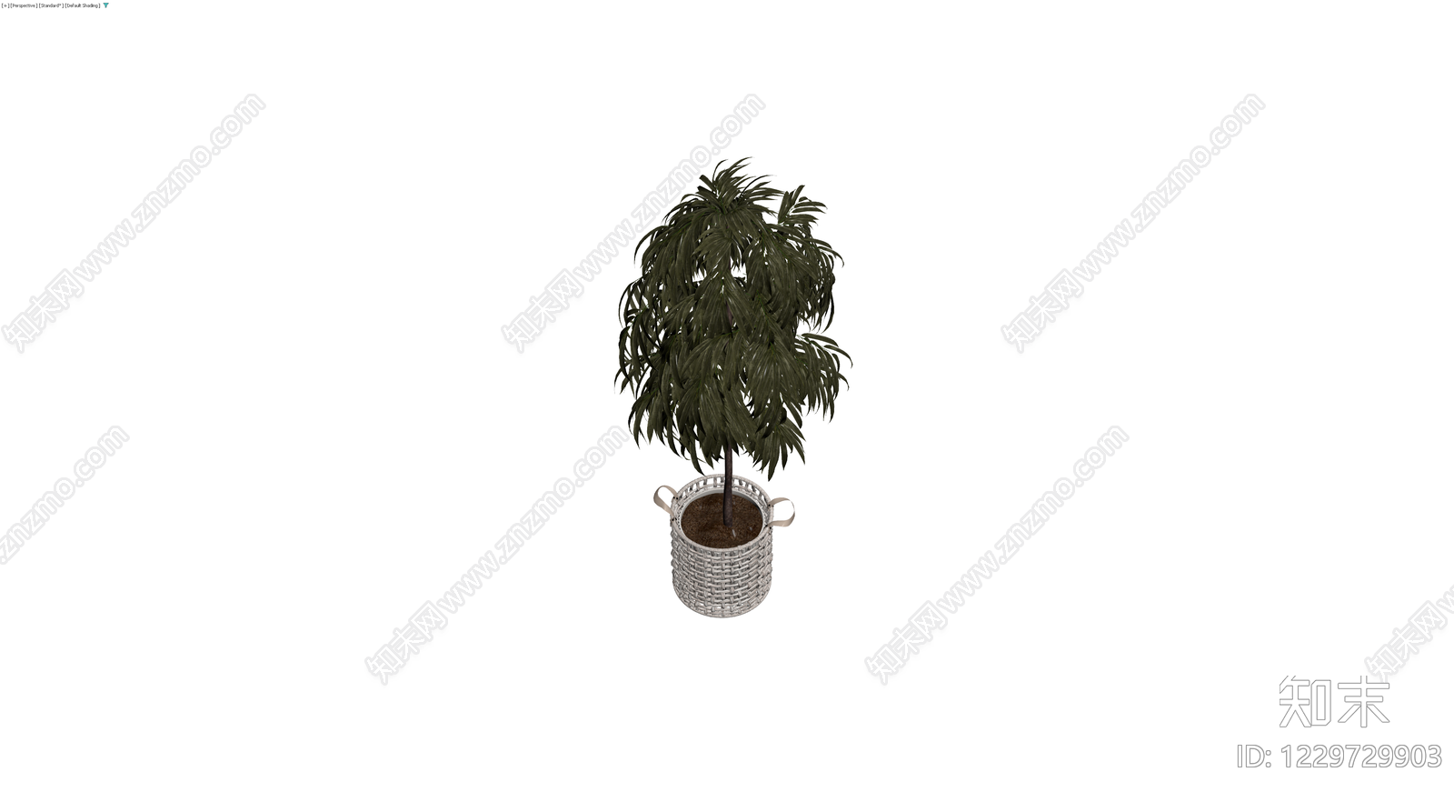 盆栽植物配编织篮3D模型下载【ID:1229729903】