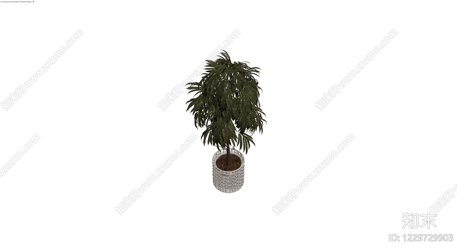 盆栽植物配编织篮3D模型下载【ID:1229729903】