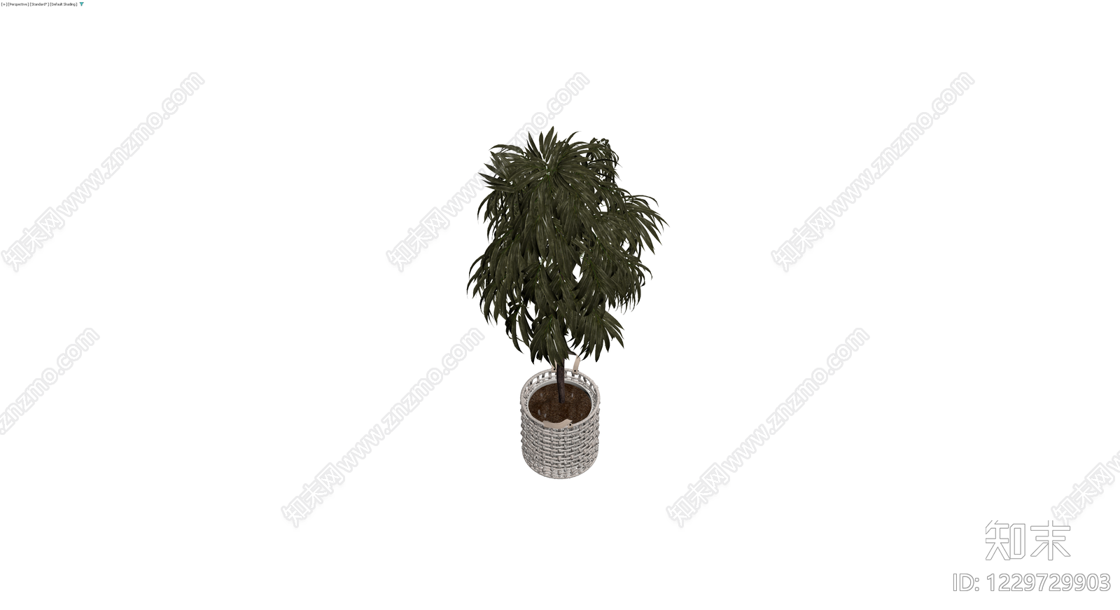 盆栽植物配编织篮3D模型下载【ID:1229729903】