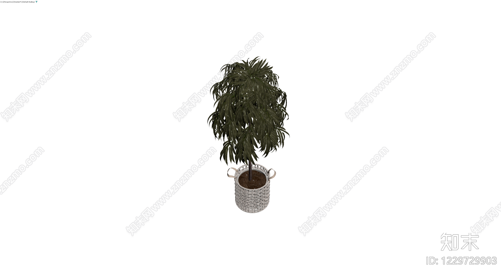 盆栽植物配编织篮3D模型下载【ID:1229729903】