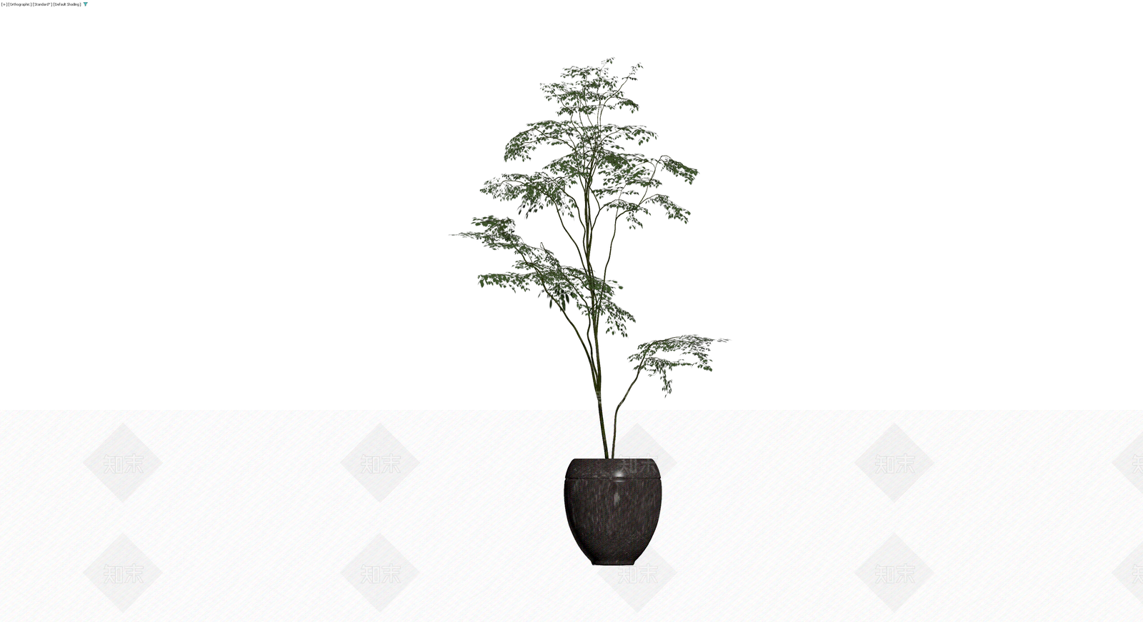 盆栽植物带盆3D模型下载【ID:1229607026】