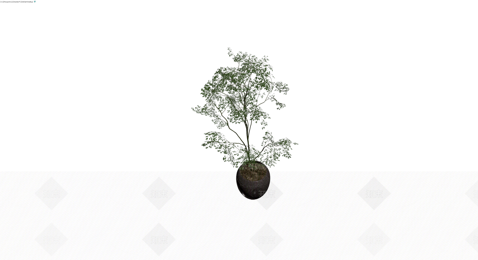 盆栽植物带盆3D模型下载【ID:1229607026】