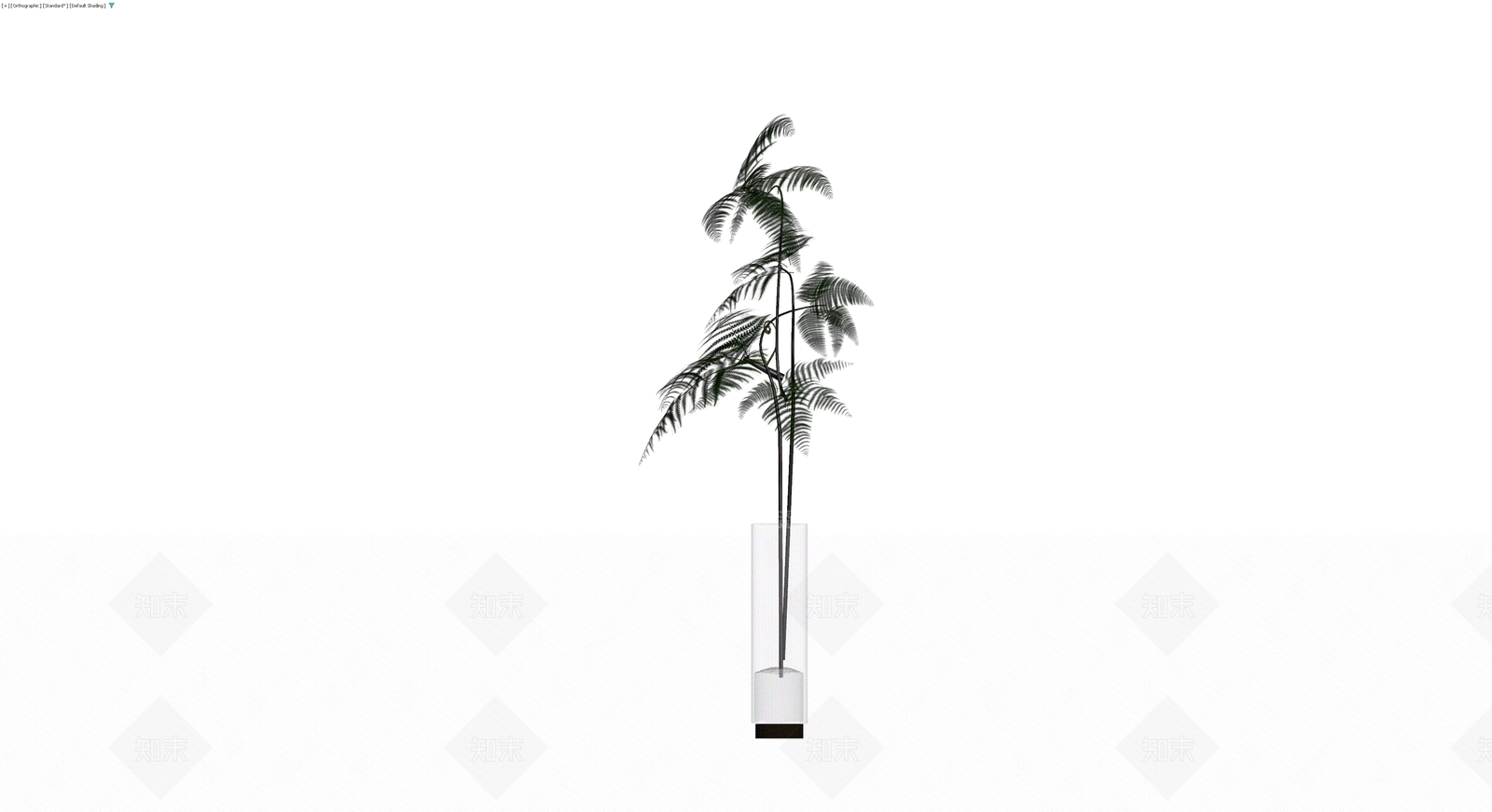 玻璃花瓶配蕨类盆栽3D模型下载【ID:1230565801】