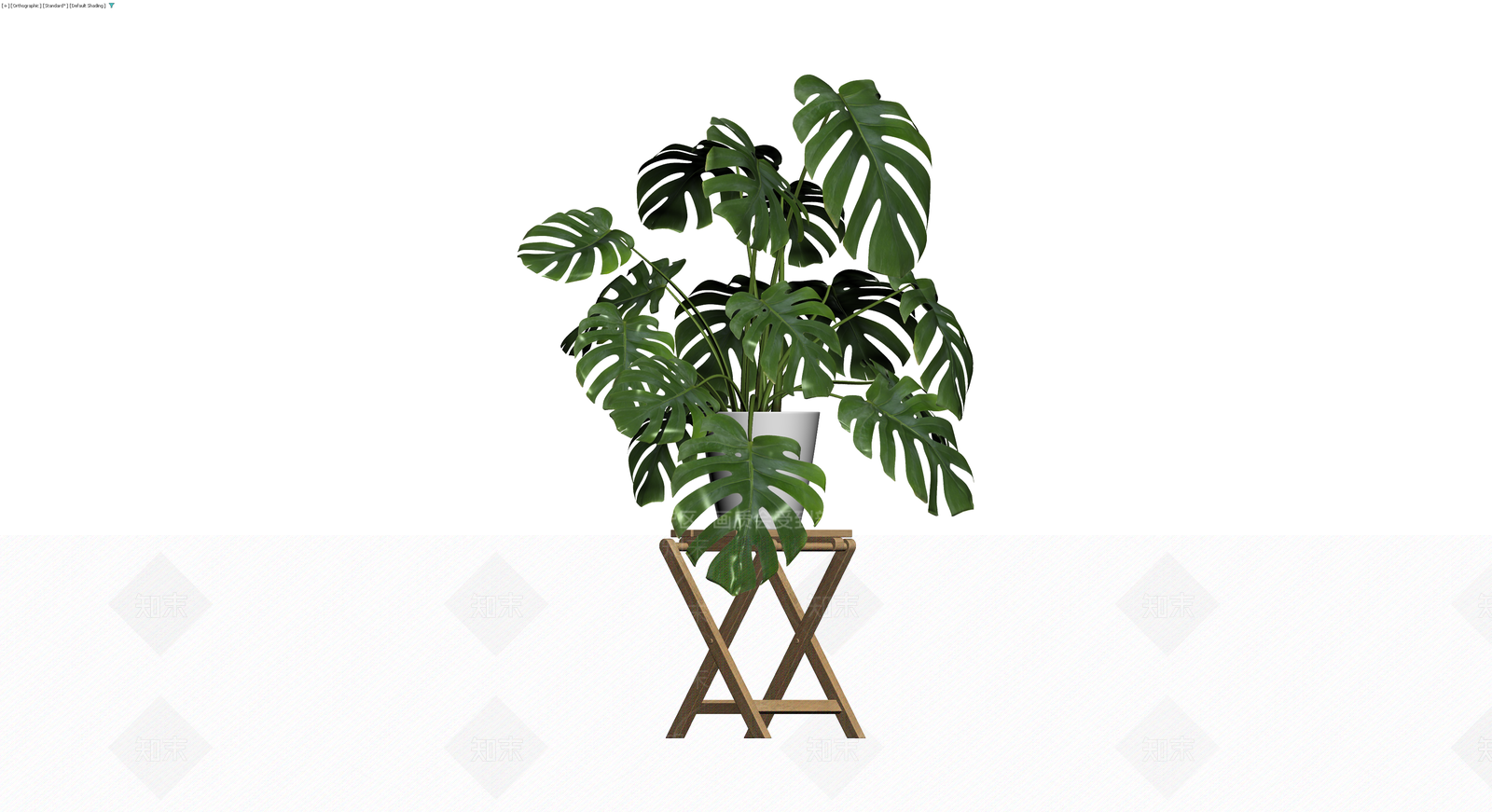 龟背竹盆栽配木架3D模型下载【ID:1229875057】