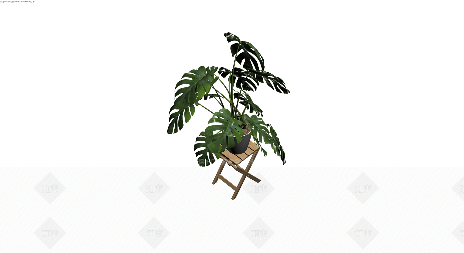 龟背竹盆栽配木架3D模型下载【ID:1229875057】