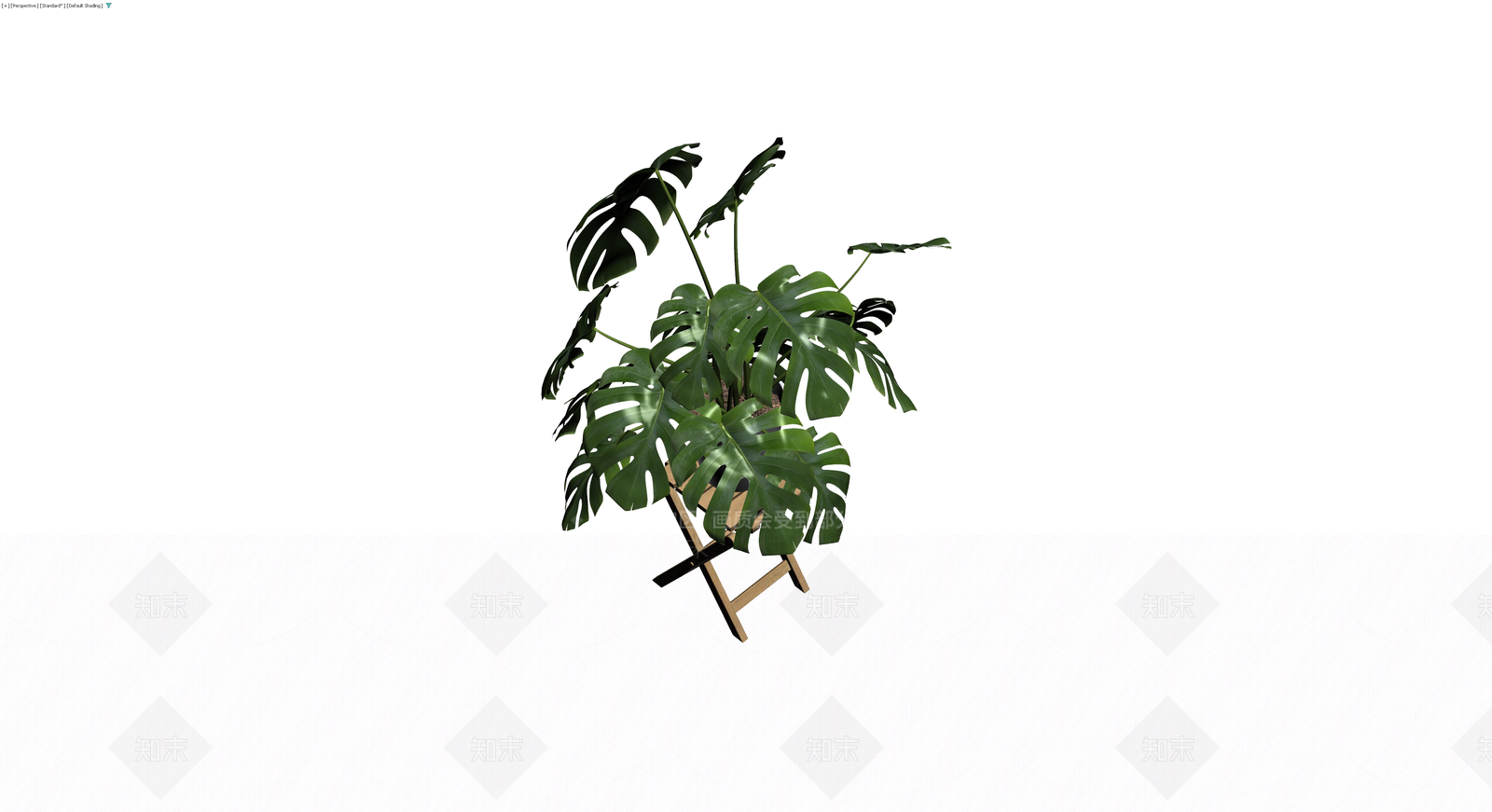 龟背竹盆栽配木架3D模型下载【ID:1229875057】