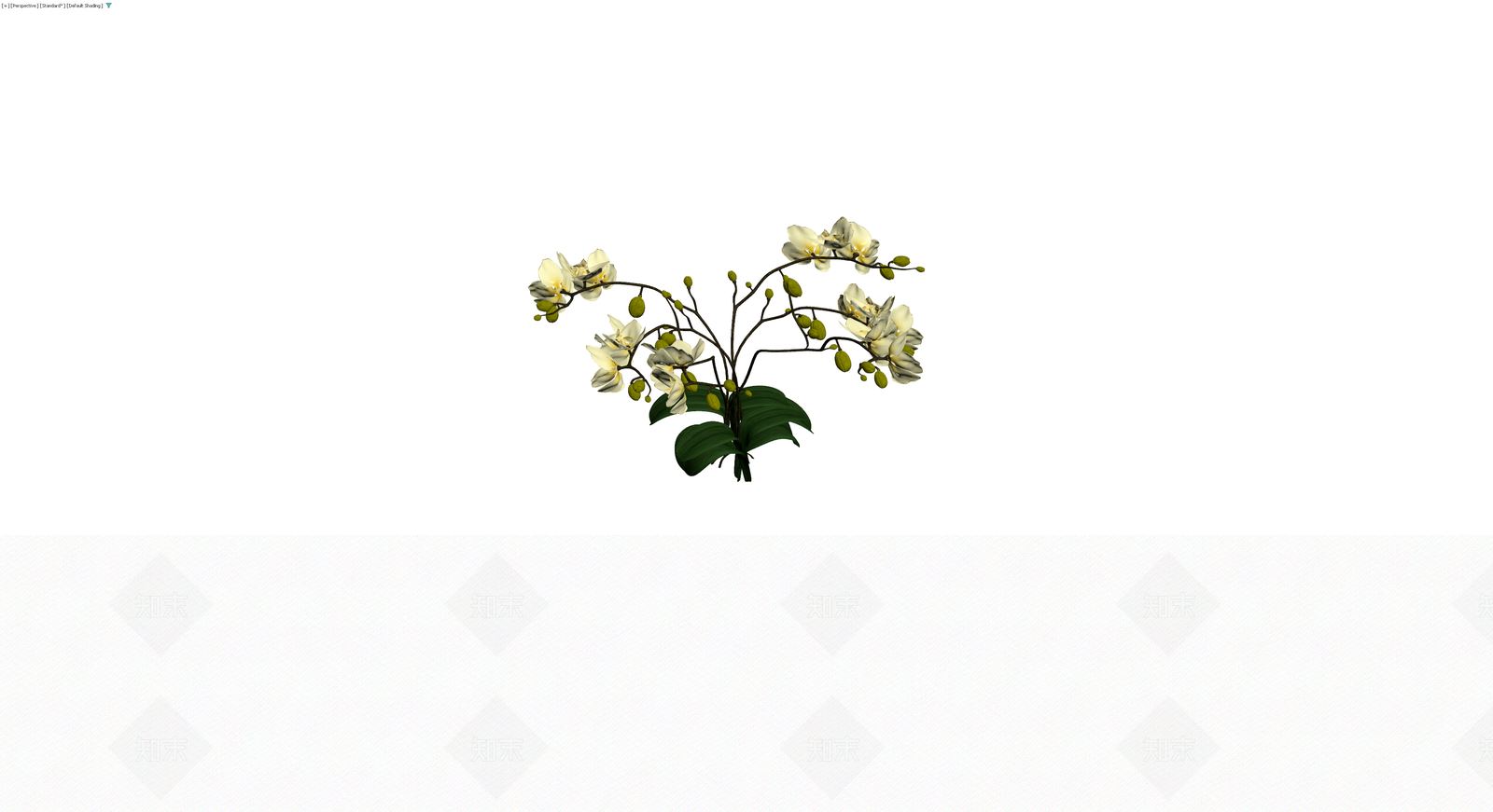 白色蝴蝶兰盆栽模型3D模型下载【ID:1230352112】