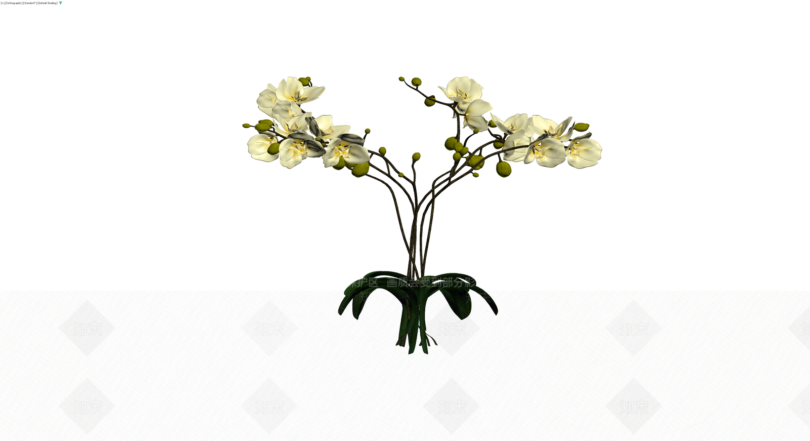 白色蝴蝶兰盆栽模型3D模型下载【ID:1230352112】