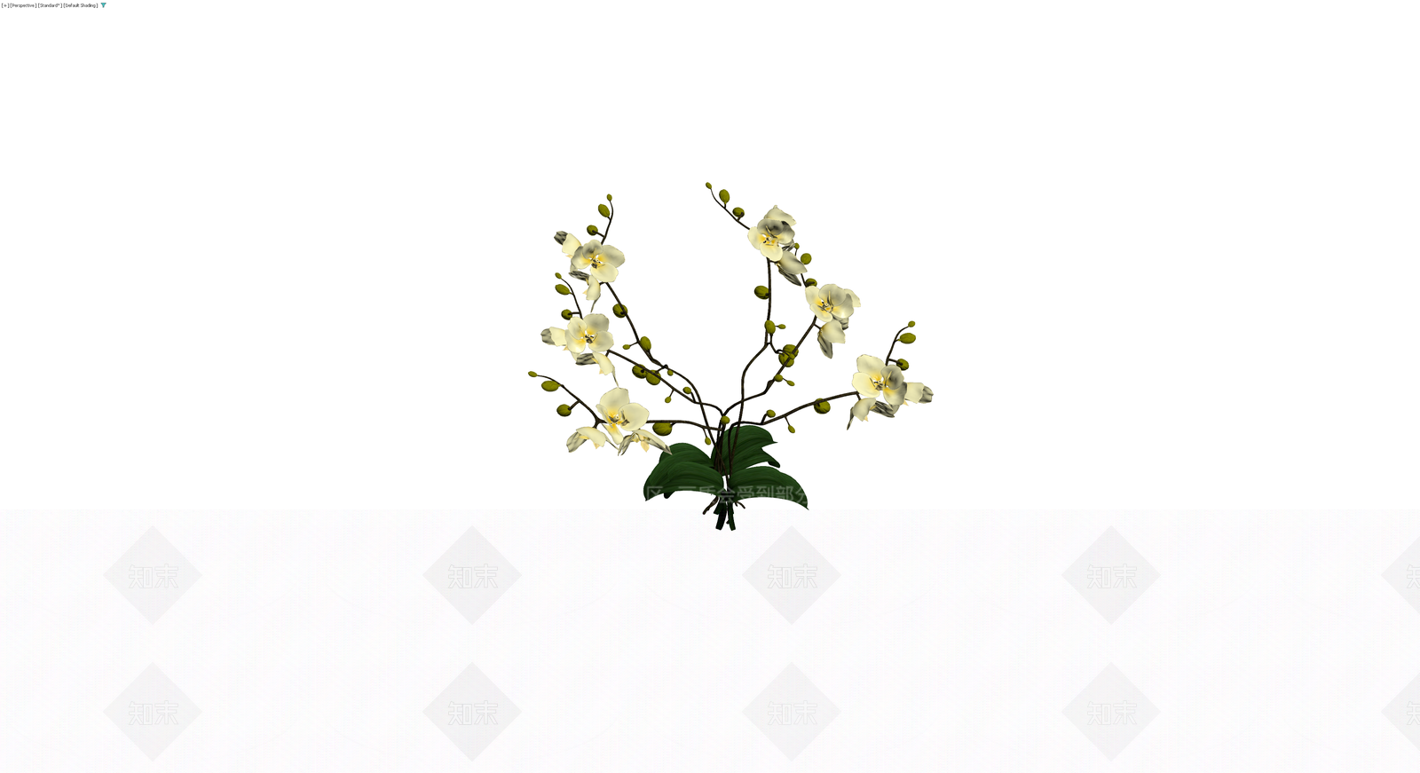 白色蝴蝶兰盆栽模型3D模型下载【ID:1230352112】