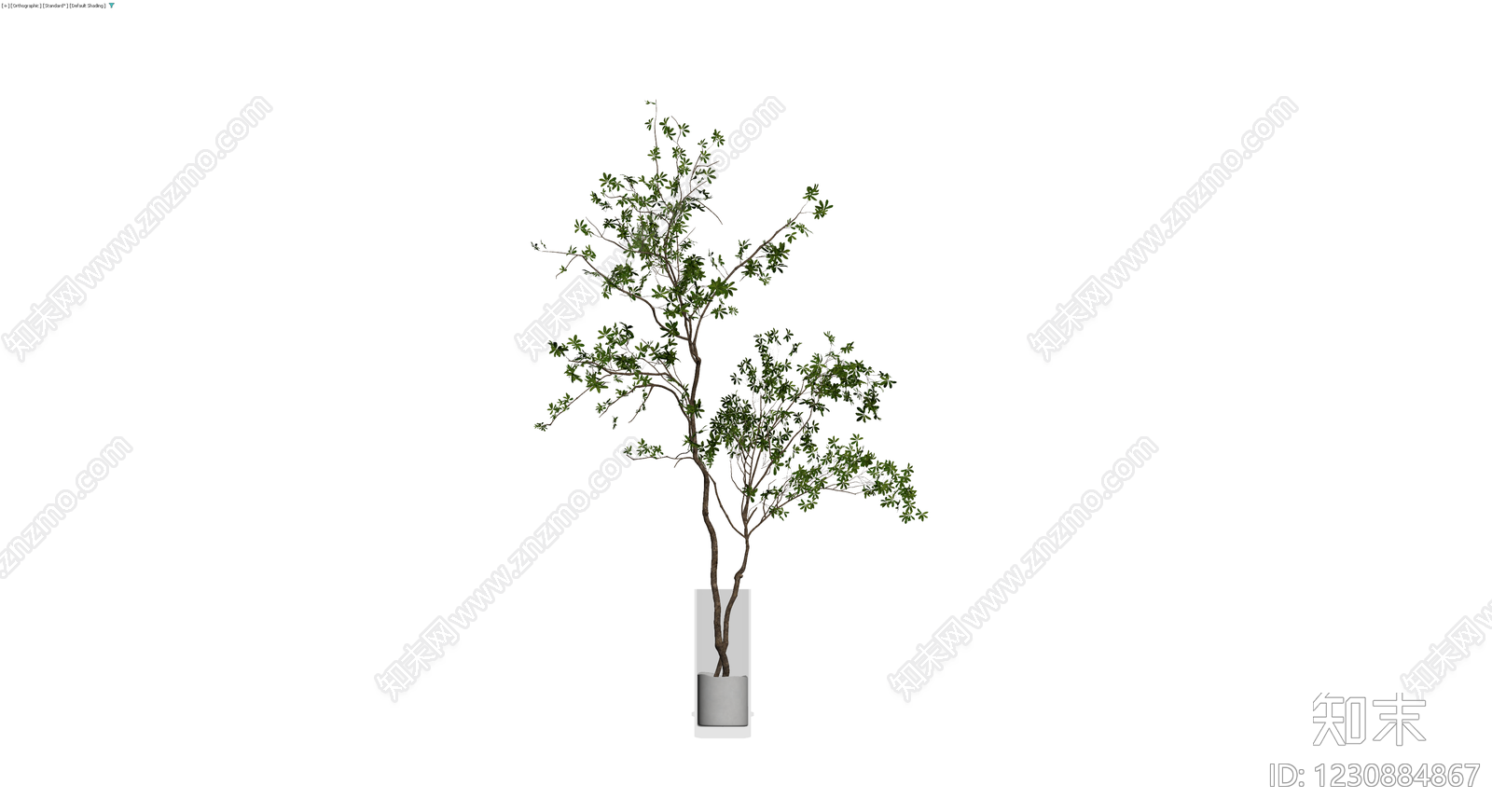 盆栽绿植3D模型下载【ID:1230884867】