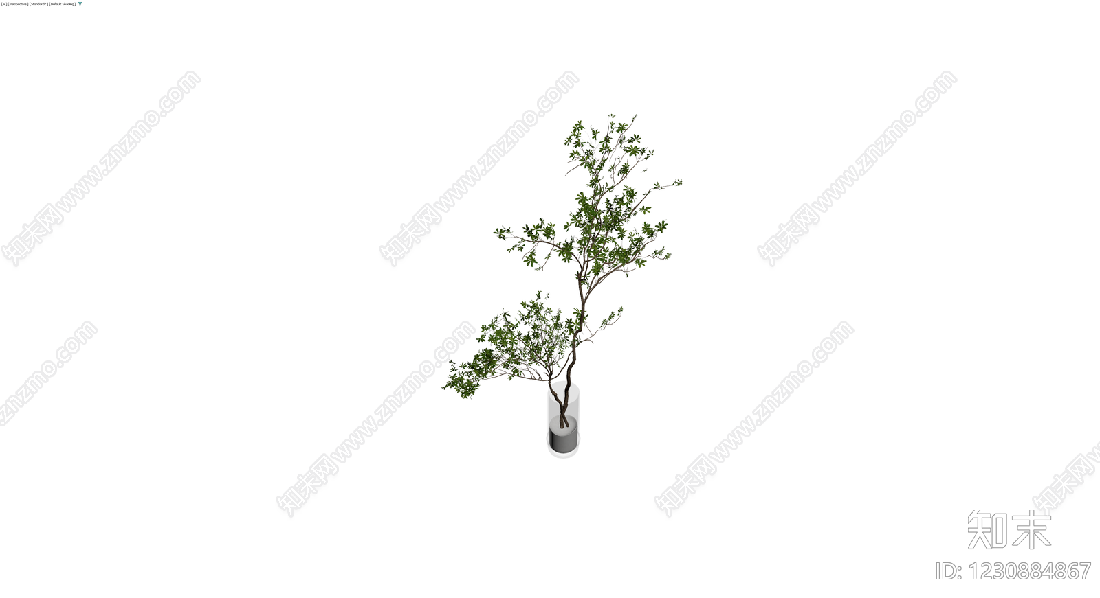 盆栽绿植3D模型下载【ID:1230884867】