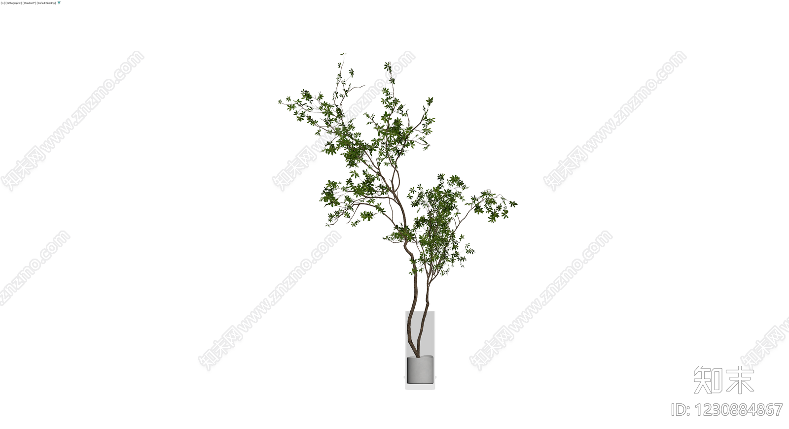 盆栽绿植3D模型下载【ID:1230884867】