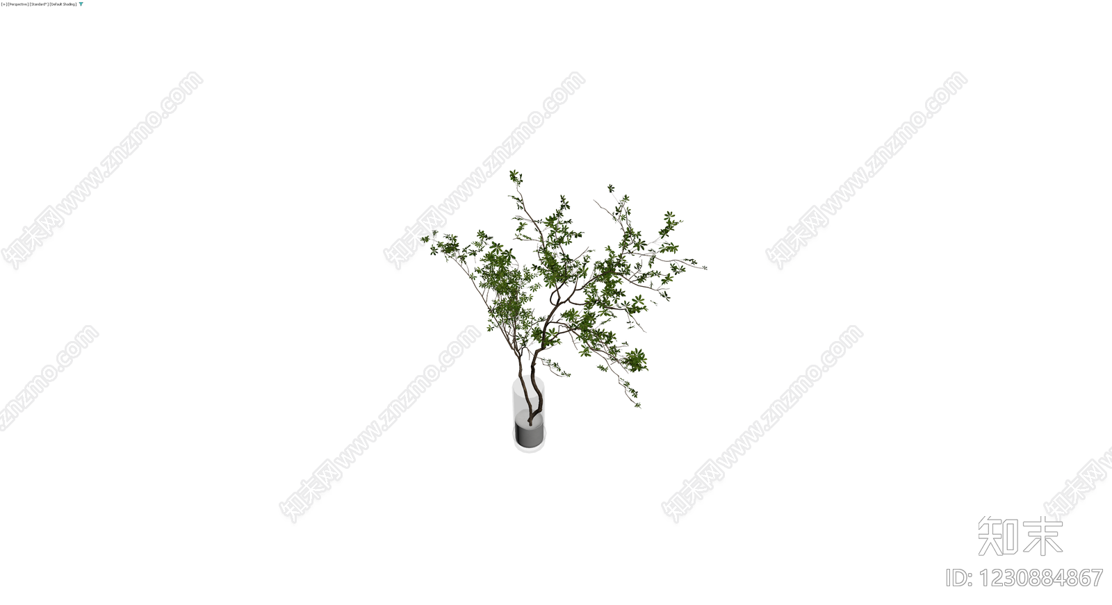 盆栽绿植3D模型下载【ID:1230884867】