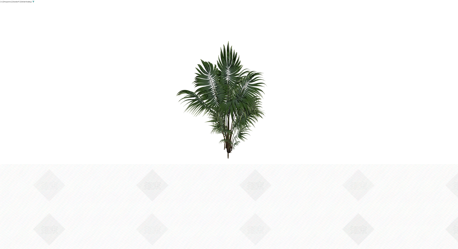 丛生散尾葵植物模型3D模型下载【ID:1230088578】