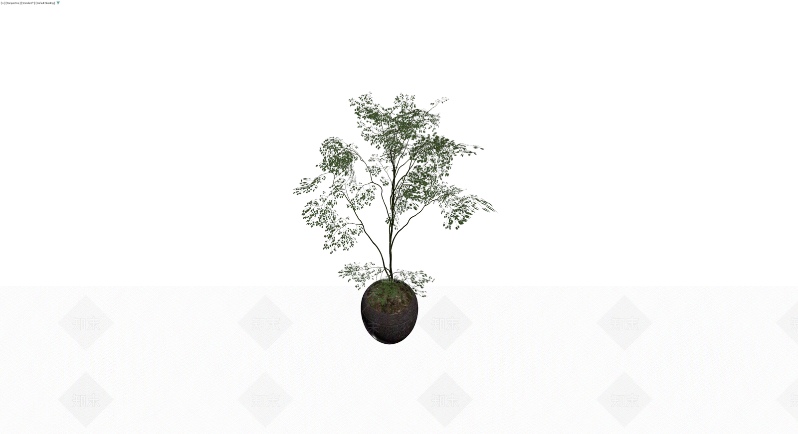 深色花盆配绿植盆栽3D模型下载【ID:1230395575】