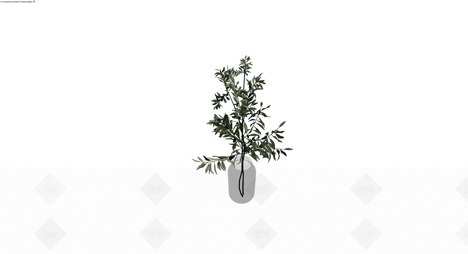灰模橄榄枝盆栽3D模型下载【ID:1230410636】