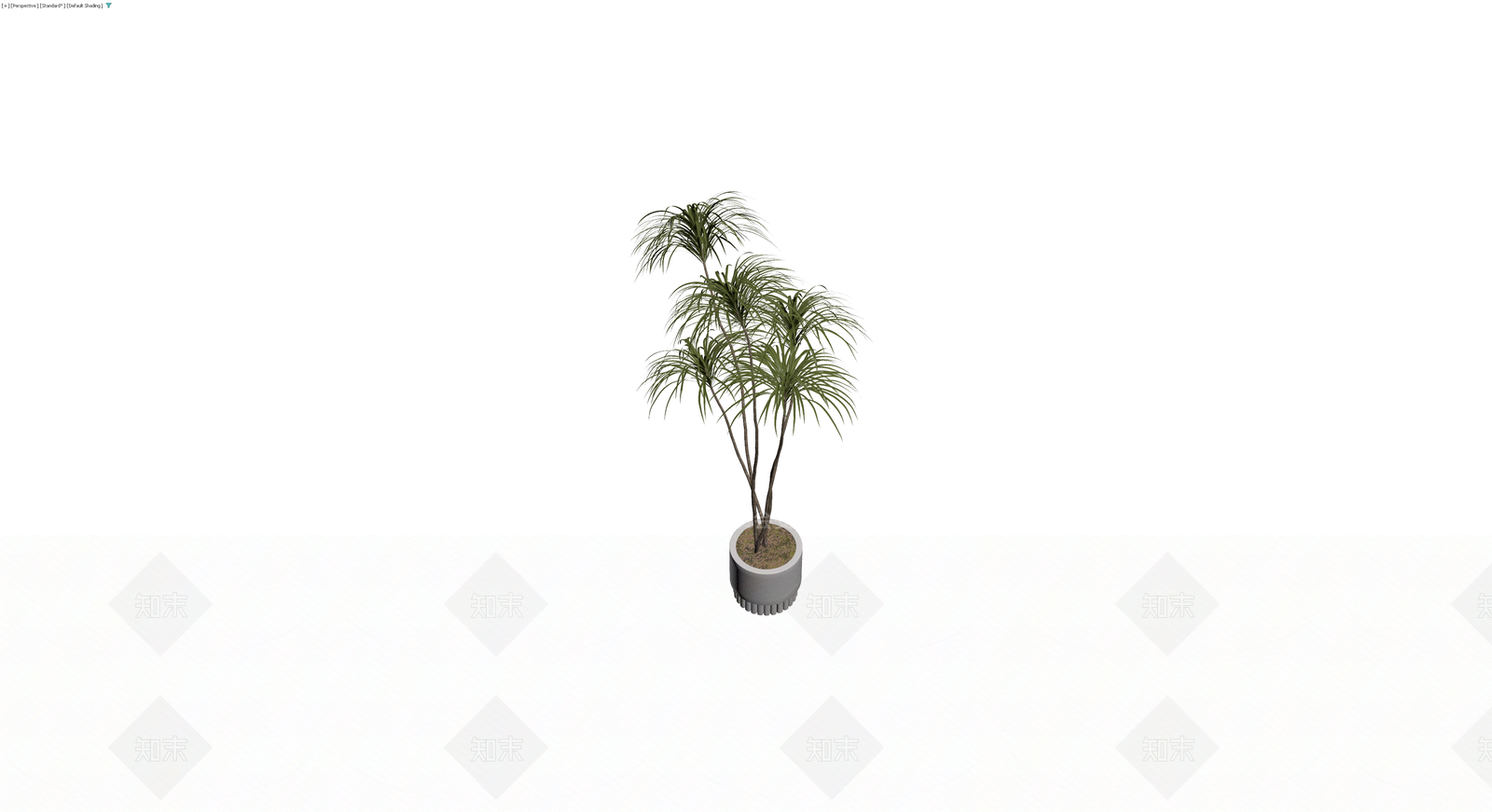 带盆绿植盆栽3D模型下载【ID:1230346936】