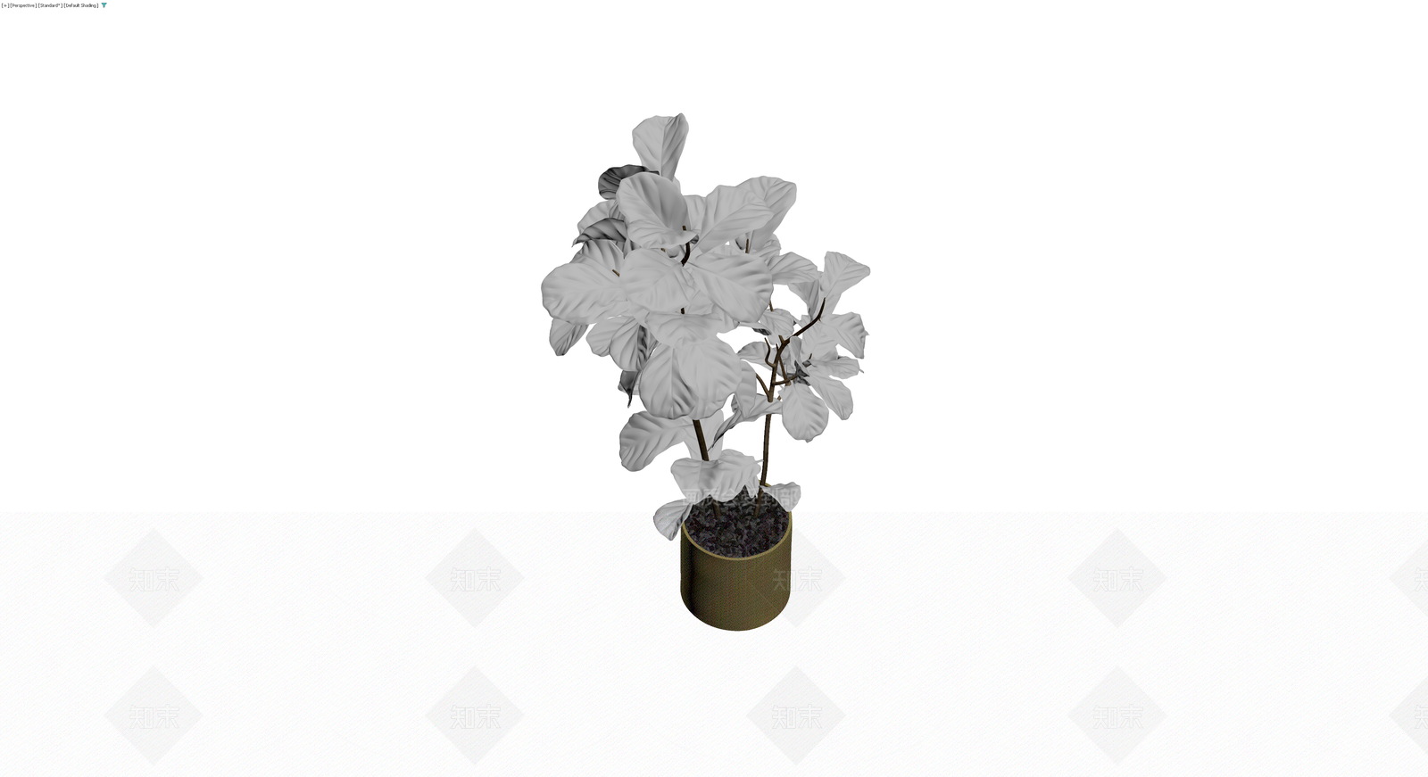 盆栽植物模型3D模型下载【ID:1229644312】