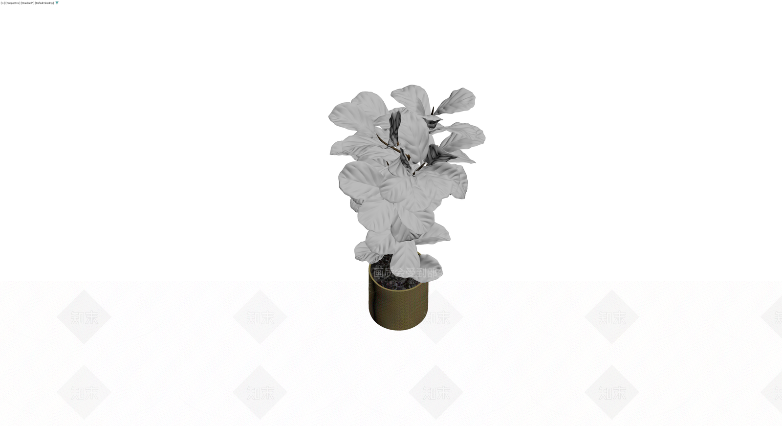 盆栽植物模型3D模型下载【ID:1229644312】