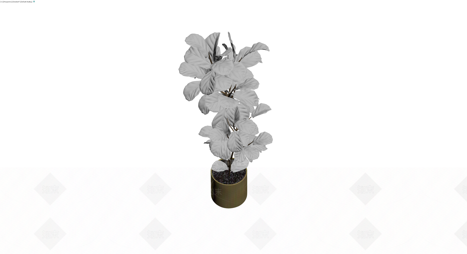 盆栽植物模型3D模型下载【ID:1229644312】