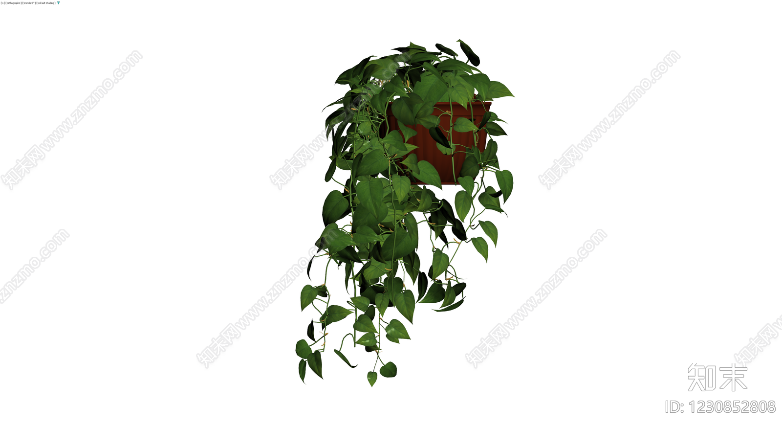 带盆绿萝盆栽模型3D模型下载【ID:1230852808】